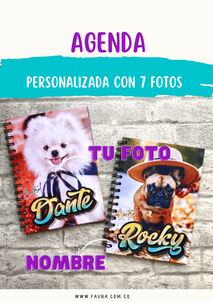 Agenda Personalizada con 7 Fotos