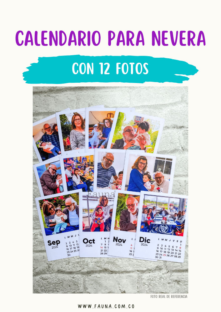 Calendario Para Nevera Personalizado con 12 Fotos - Fauna Regalos que emocionan