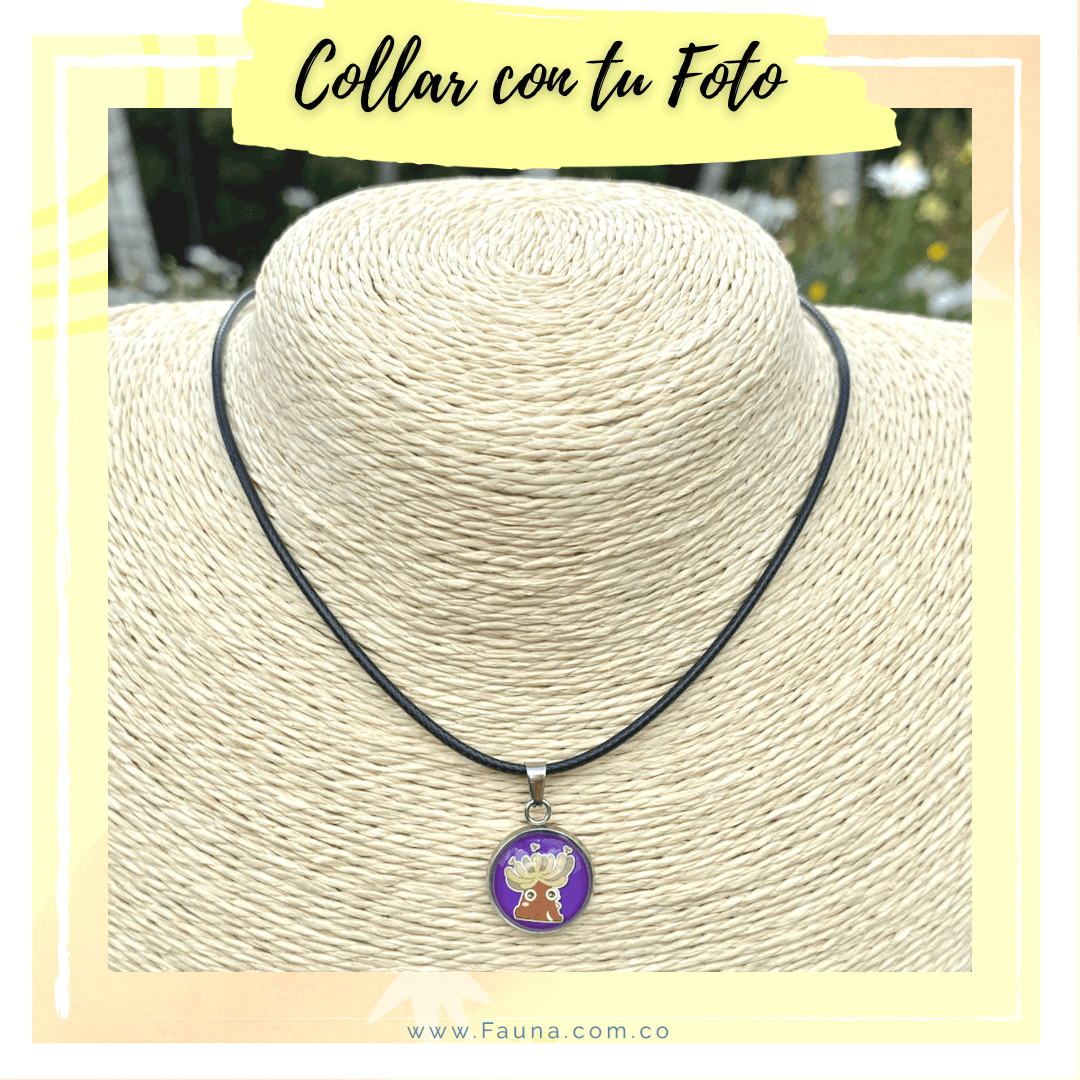 Collar Personalizado con Foto - Fauna Regalos Personalizados