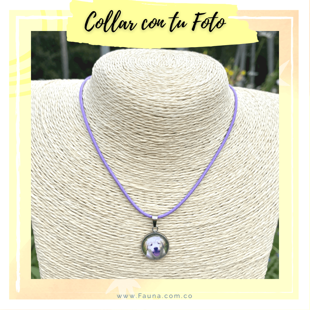 Collar Personalizado con Foto - Fauna Regalos Personalizados