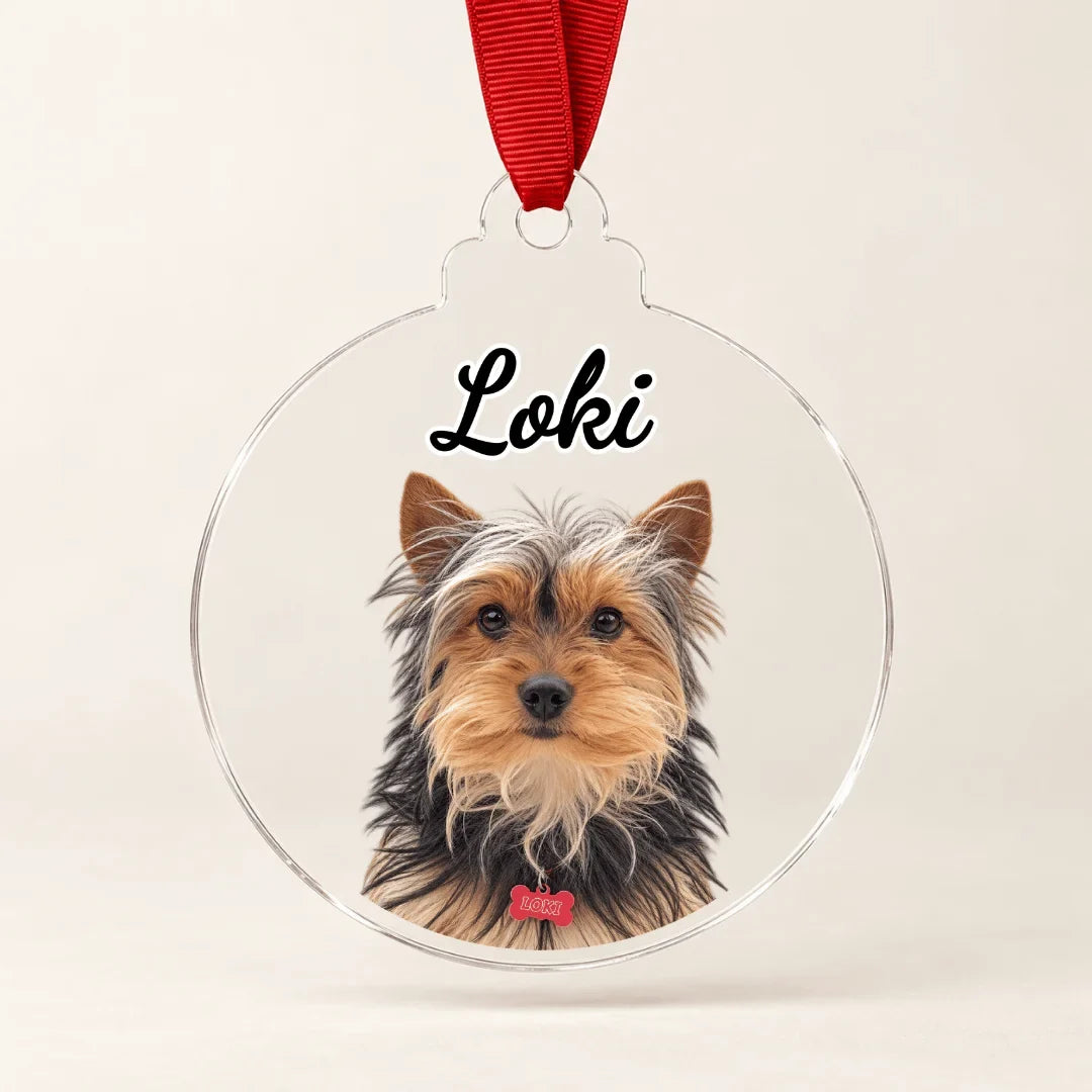 Adorno de acrílico personalizado para perro o gato