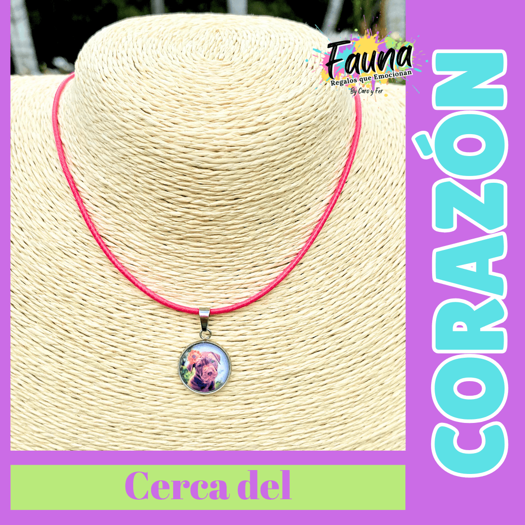 Collar personalizado tesoro personal - Fauna Regalos que emocionan