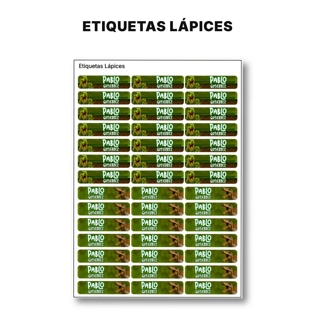Dinosaurios Salvajes – Etiquetas Escolares Personalizadas