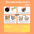 Cuaderno premium personalizado foto hojas y portadas - 80 hojas - Fauna Regalos que emocionan