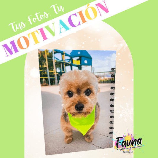 Agenda premium de 80 hojas personalizada con foto portadas - Fauna Regalos que emocionan